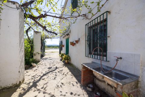 Landejendom i Armilla, Granada, Armilla - € 269.999 | Ref: KWK-002-CCE/8251 - foto 48
