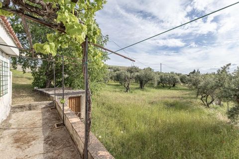Landejendom i Monachil, Granada, Monachil - € 120.000 | Ref: 09037/8251 - foto 3