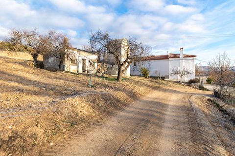 Cortijo i Pinar, Granada, Pinar - € 299 000 | Ref: E-01209/8251 - foto 8