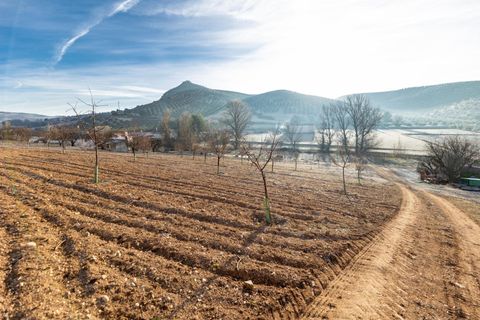 Cortijo i Pinar, Granada, Pinar - € 299 000 | Ref: E-01209/8251 - foto 10