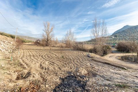 Cortijo i Pinar, Granada, Pinar - € 299 000 | Ref: E-01209/8251 - foto 11