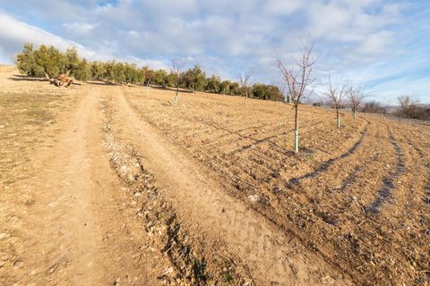 Cortijo i Pinar, Granada, Pinar - € 299 000 | Ref: E-01209/8251 - foto 12
