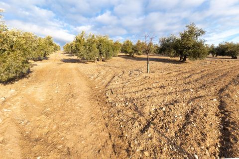 Cortijo i Pinar, Granada, Pinar - € 299 000 | Ref: E-01209/8251 - foto 13