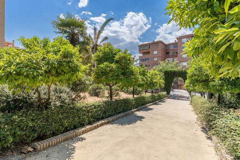 Leilighet i Granada, Granada, Granada - € 245 000 | Ref: 25073/8251 - foto 31