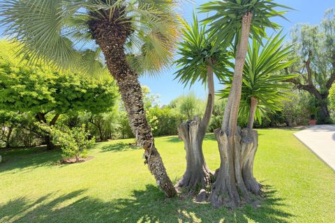 Rækkehus i Palma De Mallorca, Mallorca, Palma De Mallorca - € 1.090.000 | Ref: FALC-JeGe-86476 - foto 9