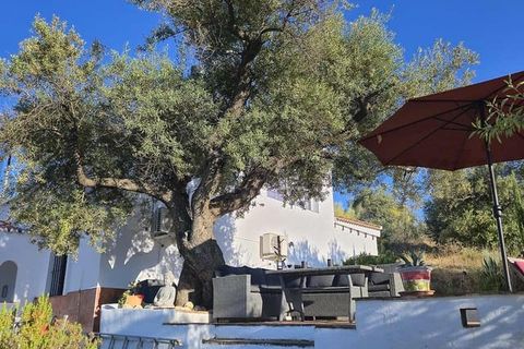 Villa em Comares, Malaga, Comares - € 369.500 | Ref: CP800 - foto 20