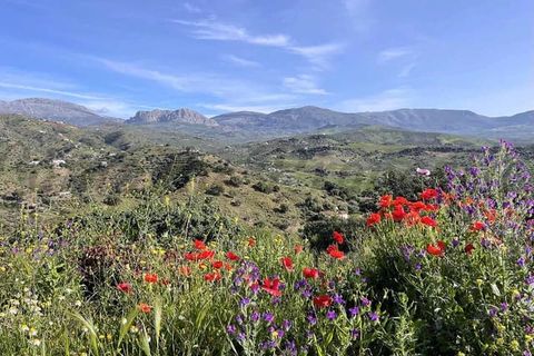 Villa em Comares, Malaga, Comares - € 369.500 | Ref: CP800 - foto 21