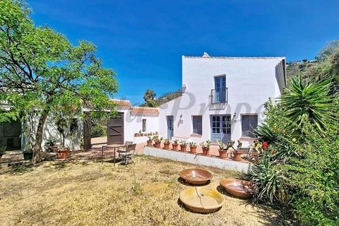 Villa i Velez Malaga, Malaga, Velez Malaga - € 635.000 | Ref: CP801 - foto 3