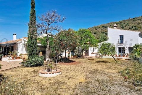 Villa i Velez Malaga, Malaga, Velez Malaga - € 635.000 | Ref: CP801 - foto 21
