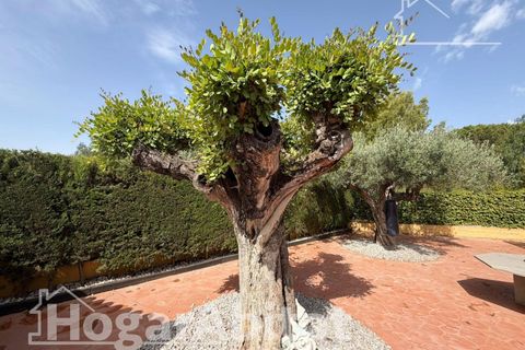 Villa a Naquera, Valencia, Naquera - € 255.000 | Ref: 055POV255.PW-A/3716 - foto 34