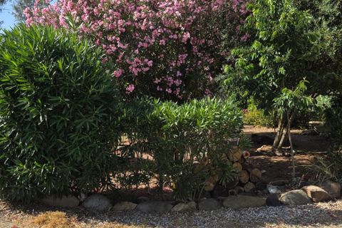Masia a Guaro, Malaga, Guaro - € 300.000 | Ref: EXP14809/8930 - foto 19