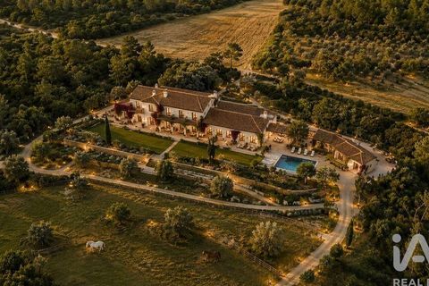 Terra a Rio Maior, Santarem, Rio Maior - € 160.000 | Ref: 942350 - foto 2