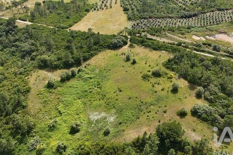 Terra a Rio Maior, Santarem, Rio Maior - € 160.000 | Ref: 942350 - foto 3