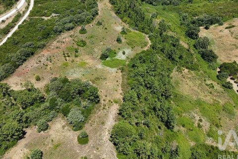 Terra a Rio Maior, Santarem, Rio Maior - € 160.000 | Ref: 942350 - foto 5