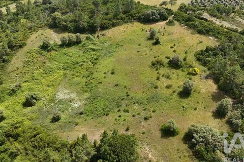 Terra a Rio Maior, Santarem, Rio Maior - € 160.000 | Ref: 942350 - foto 6