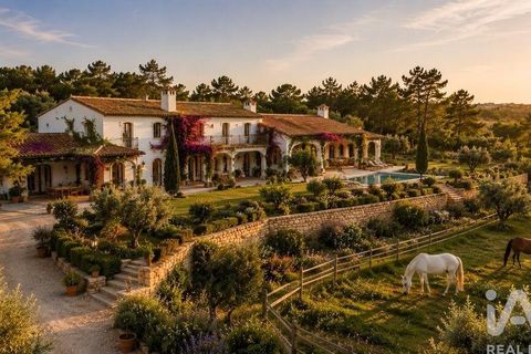 Terra a Rio Maior, Santarem, Rio Maior - € 160.000 | Ref: 942350 - foto 7