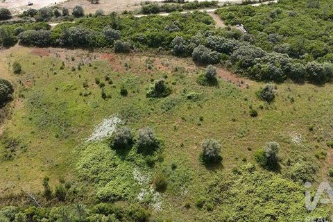 Terra a Rio Maior, Santarem, Rio Maior - € 160.000 | Ref: 942350 - foto 8