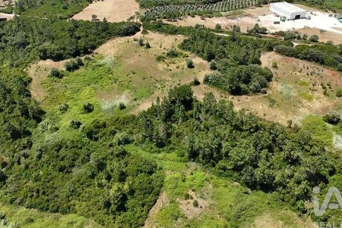 Terra a Rio Maior, Santarem, Rio Maior - € 160.000 | Ref: 942350 - foto 9
