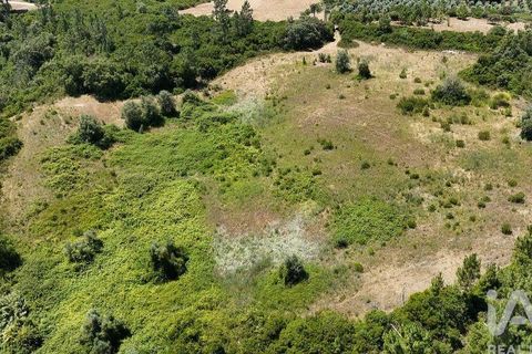 Terra a Rio Maior, Santarem, Rio Maior - € 160.000 | Ref: 942350 - foto 10