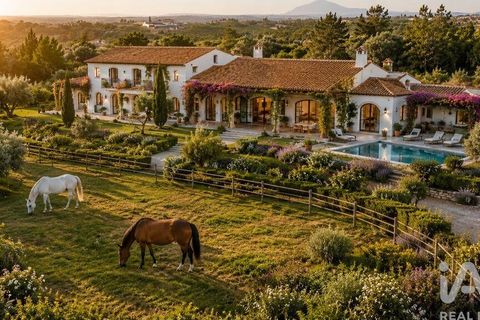 Terra a Rio Maior, Santarem, Rio Maior - € 160.000 | Ref: 942350 - foto 11