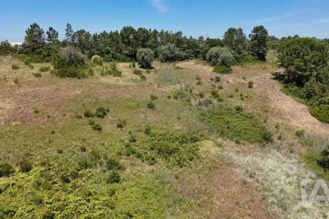 Terra a Rio Maior, Santarem, Rio Maior - € 160.000 | Ref: 942350 - foto 12