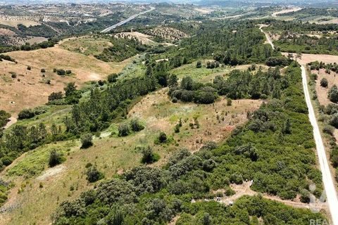 Terra a Rio Maior, Santarem, Rio Maior - € 160.000 | Ref: 942350 - foto 13