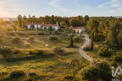Terra a Rio Maior, Santarem, Rio Maior - € 160.000 | Ref: 942350 - foto 14