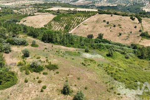 Terra a Rio Maior, Santarem, Rio Maior - € 160.000 | Ref: 942350 - foto 15