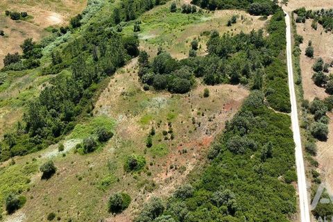 Terra a Rio Maior, Santarem, Rio Maior - € 160.000 | Ref: 942350 - foto 16