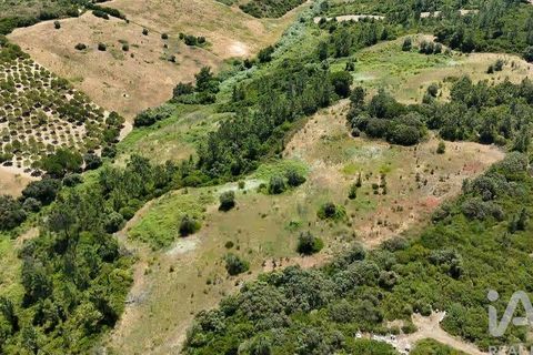 Terra a Rio Maior, Santarem, Rio Maior - € 160.000 | Ref: 942350 - foto 18