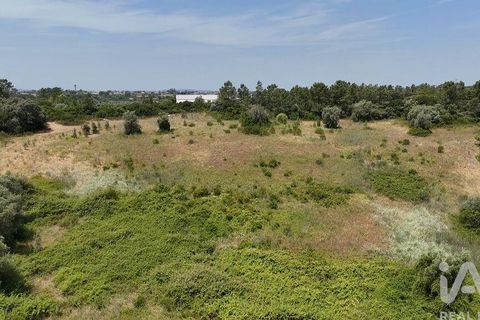 Terra a Rio Maior, Santarem, Rio Maior - € 160.000 | Ref: 942350 - foto 19