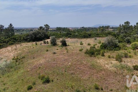 Terra a Rio Maior, Santarem, Rio Maior - € 160.000 | Ref: 942350 - foto 20