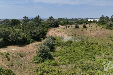 Terra a Rio Maior, Santarem, Rio Maior - € 160.000 | Ref: 942350 - foto 21