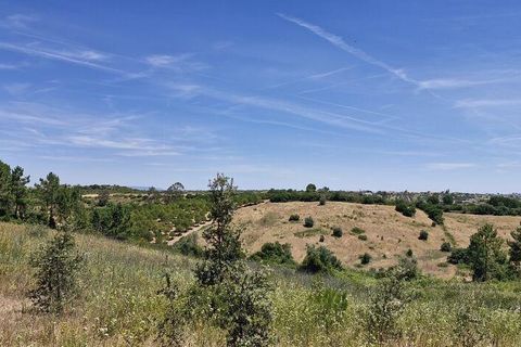 Terra a Rio Maior, Santarem, Rio Maior - € 160.000 | Ref: 942350 - foto 22
