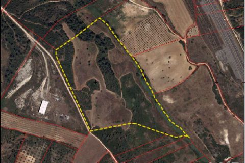 Terra a Rio Maior, Santarem, Rio Maior - € 160.000 | Ref: 942350 - foto 23