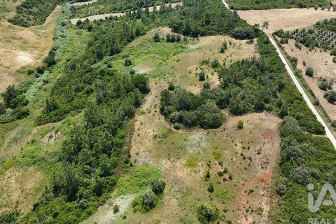 Terra a Rio Maior, Santarem, Rio Maior - € 160.000 | Ref: 942350 - foto 24