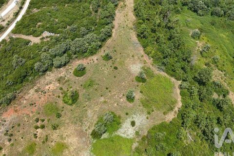 Terra a Rio Maior, Santarem, Rio Maior - € 160.000 | Ref: 942350 - foto 25