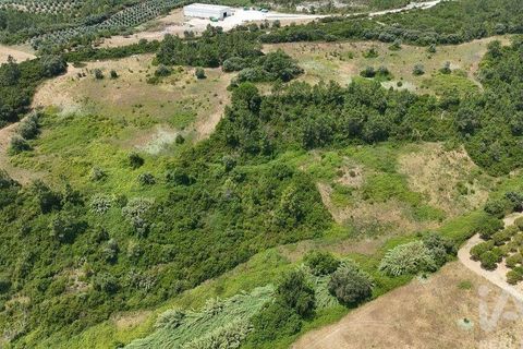 Terra a Rio Maior, Santarem, Rio Maior - € 160.000 | Ref: 942350 - foto 26