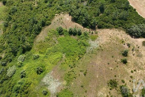 Terra a Rio Maior, Santarem, Rio Maior - € 160.000 | Ref: 942350 - foto 27