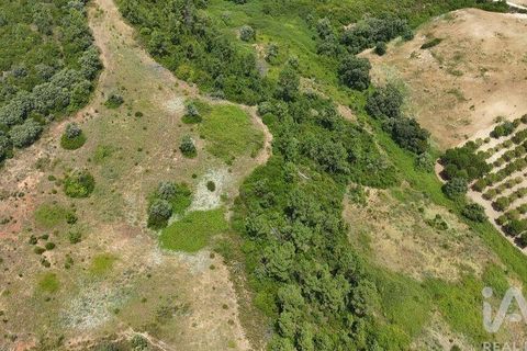 Terra a Rio Maior, Santarem, Rio Maior - € 160.000 | Ref: 942350 - foto 28