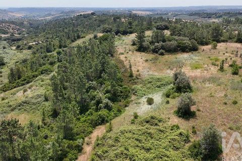 Terra a Rio Maior, Santarem, Rio Maior - € 160.000 | Ref: 942350 - foto 29