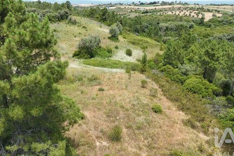Terra a Rio Maior, Santarem, Rio Maior - € 160.000 | Ref: 942350 - foto 30