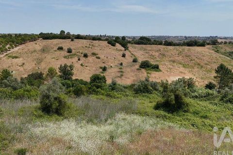 Terra a Rio Maior, Santarem, Rio Maior - € 160.000 | Ref: 942350 - foto 31