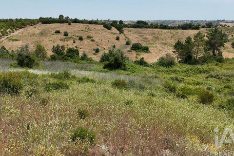 Terra a Rio Maior, Santarem, Rio Maior - € 160.000 | Ref: 942350 - foto 33