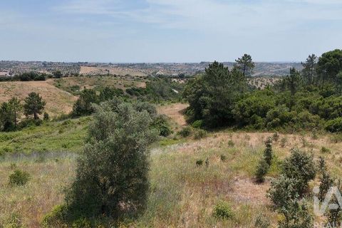 Terra a Rio Maior, Santarem, Rio Maior - € 160.000 | Ref: 942350 - foto 34