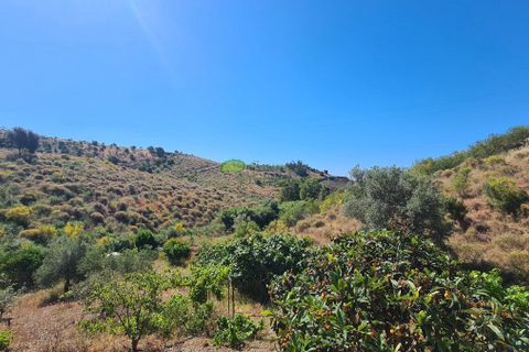 Landejendom i Triana, Malaga, Triana - € 399.000 | Ref: 8024 - foto 4