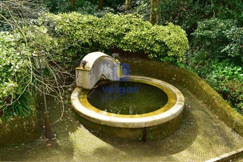 Villa i Sintra, Lisbon, Sintra - € 8.500.000 | Ref: PSI-216692 - foto 8