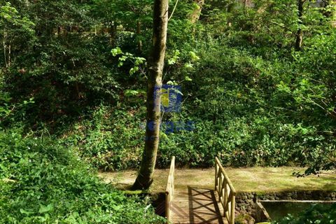 Villa i Sintra, Lisbon, Sintra - € 8.500.000 | Ref: PSI-216692 - foto 10