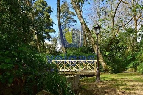 Villa i Sintra, Lisbon, Sintra - € 8.500.000 | Ref: PSI-216692 - foto 11