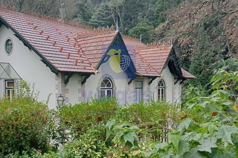 Villa i Sintra, Lisbon, Sintra - € 8.500.000 | Ref: PSI-216692 - foto 13